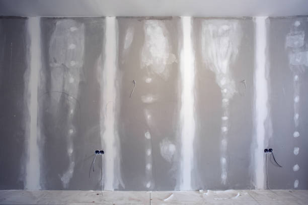 Best Ceiling Drywall Installation  in Mackinaw, IL